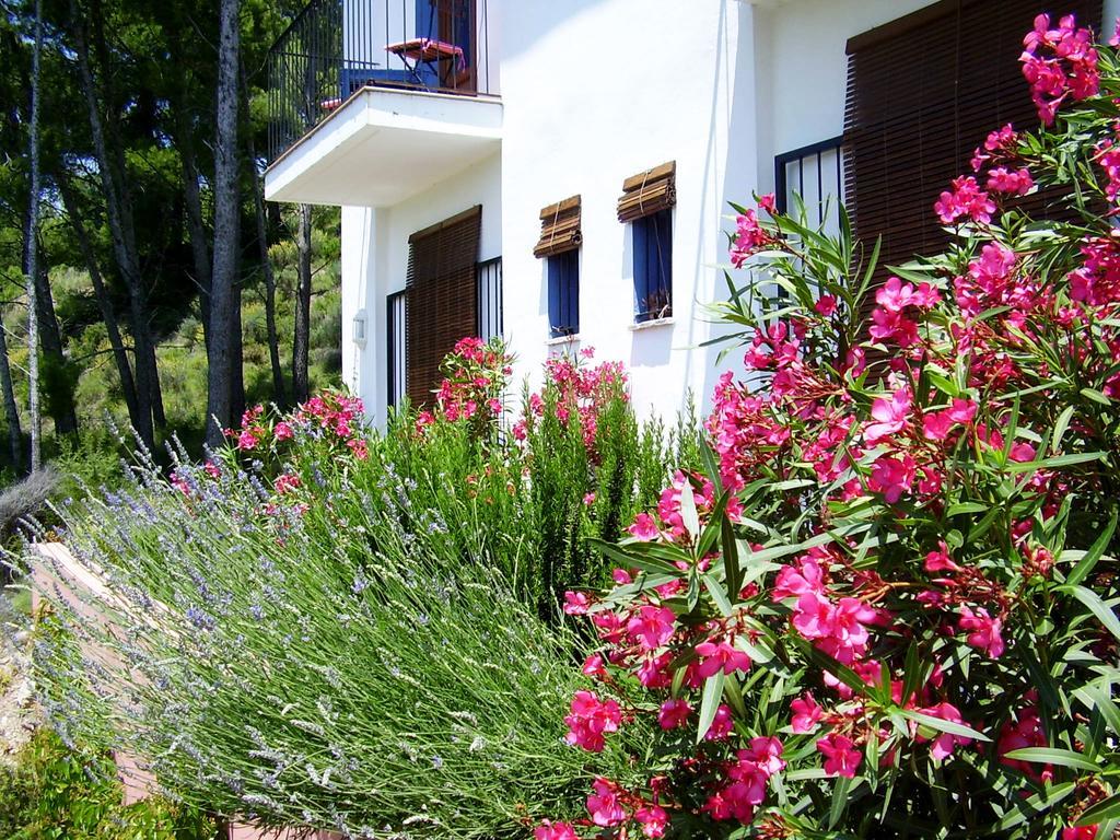 Shariqua (Adults Only) Bed & Breakfast Jérica Exterior photo